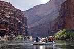 The paddle boat